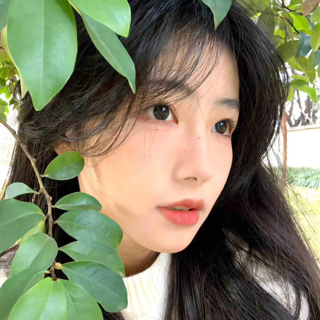 疯狂的麦咭第三季