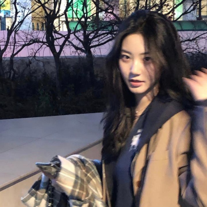 狮子王2019